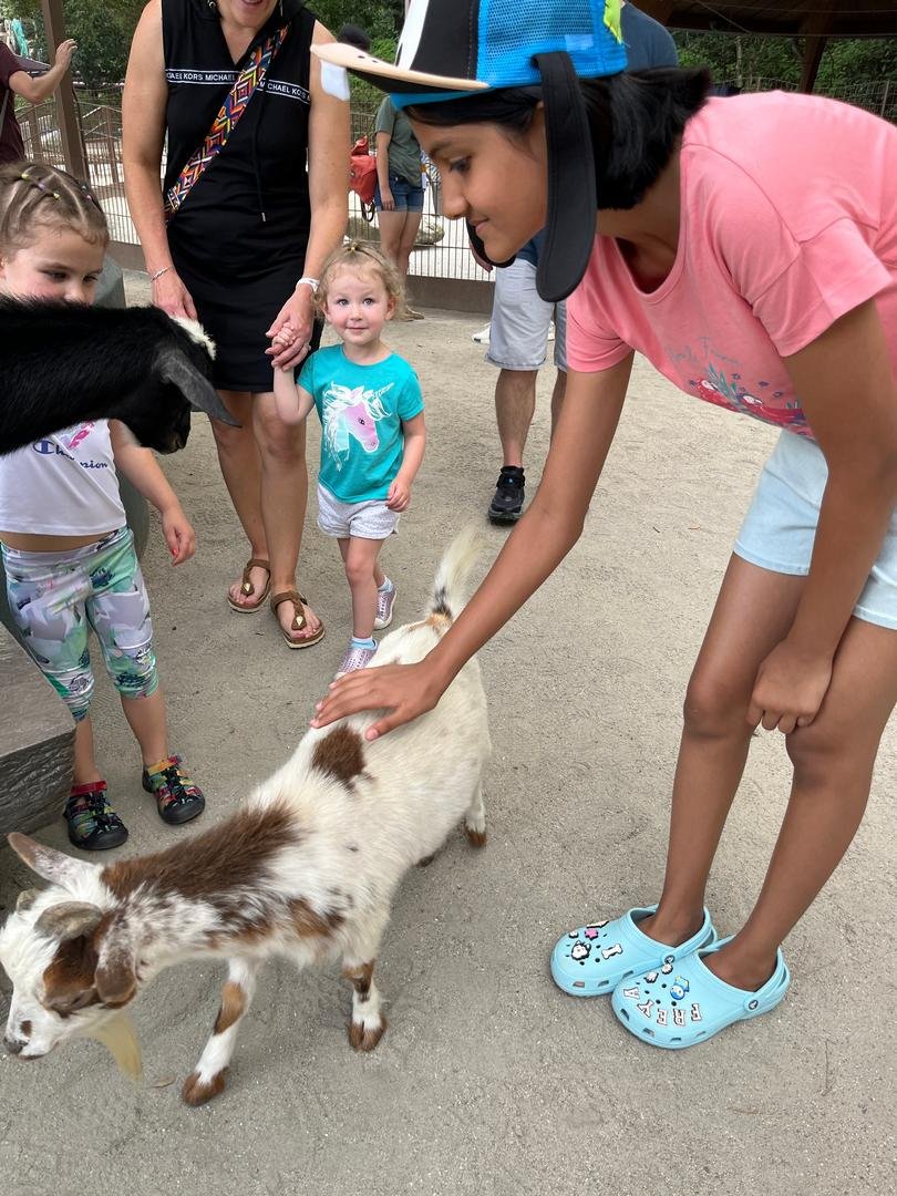 Just me, a baby goat, and a heart full of love 🐐