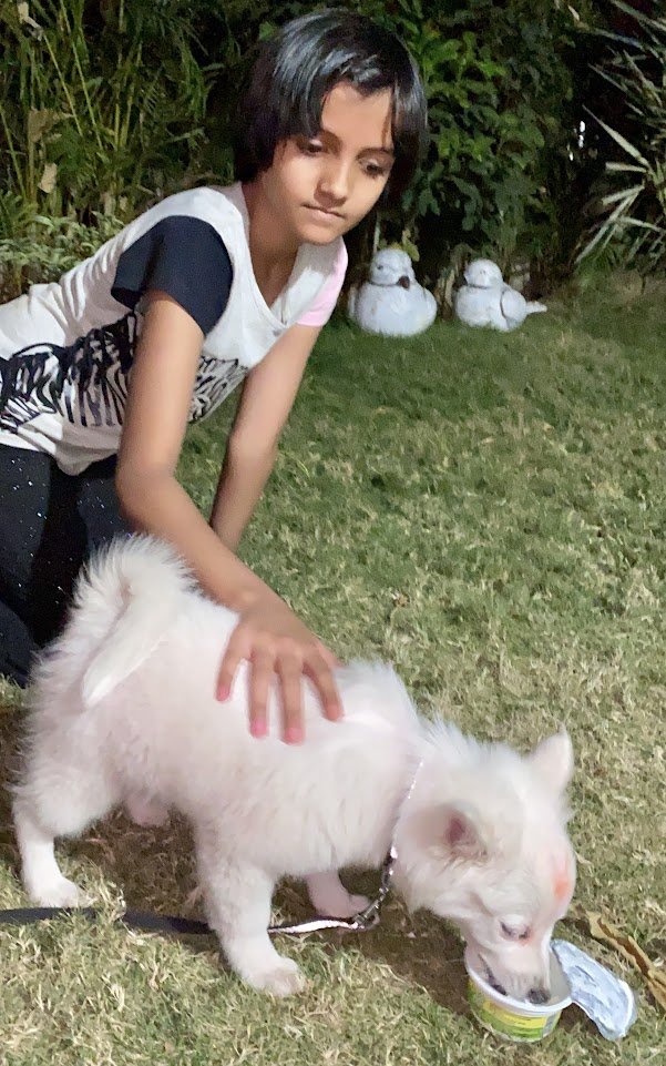 Taking care of this little furball felt like pure joy